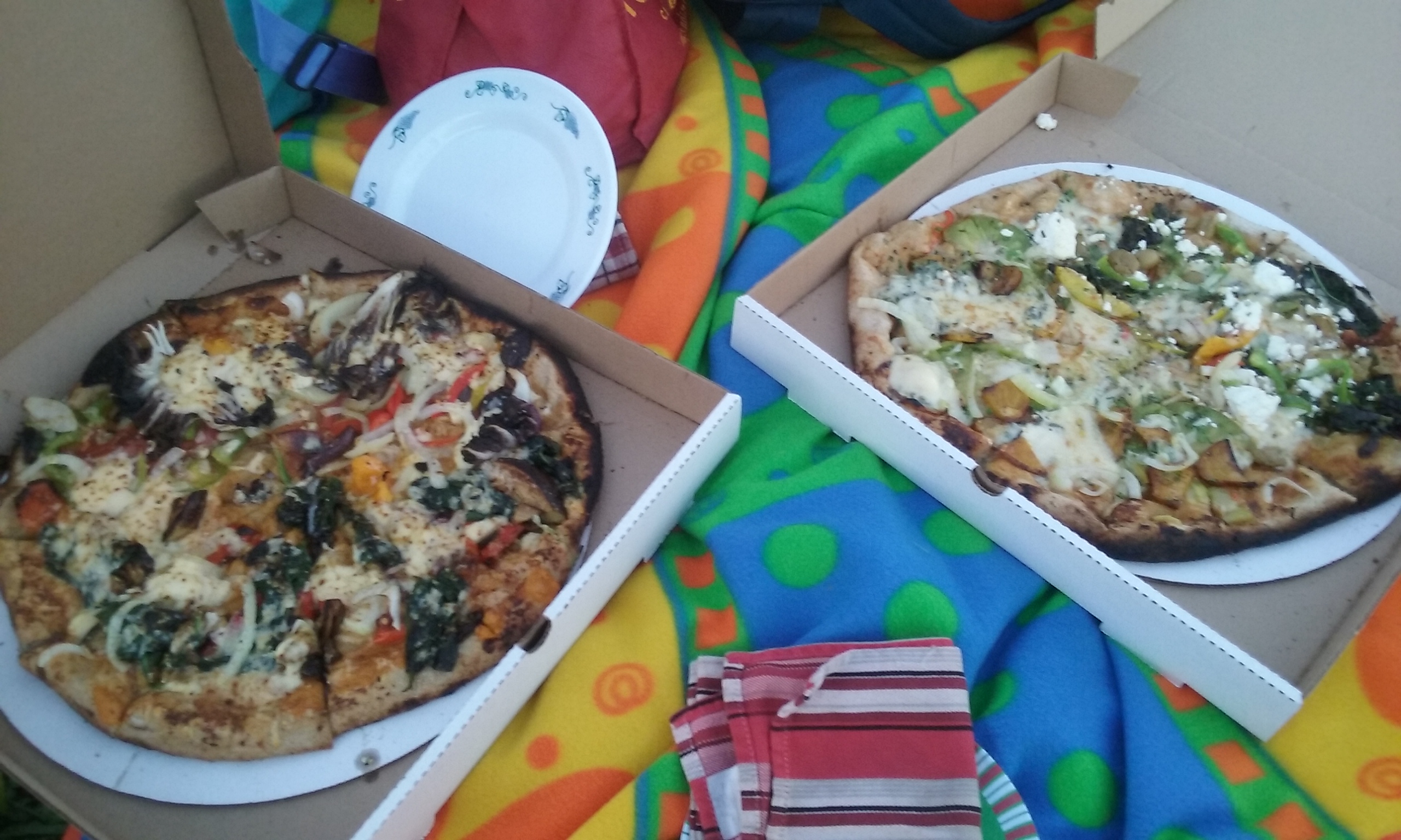 Last Night’s Pizza Box Pizza Farms